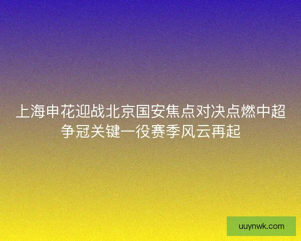 上海申花迎战北京国安焦点对决点燃中超争冠关键一役赛季风云再起