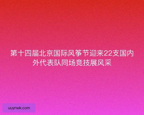 第十四届北京国际风筝节迎来22支国内外代表队同场竞技展风采